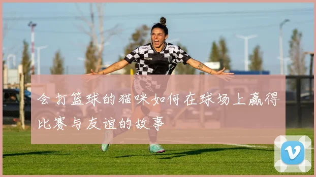 会打篮球的猫咪如何在球场上赢得比赛与友谊的故事