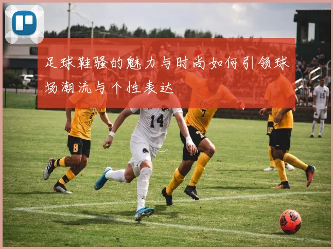 足球鞋骚的魅力与时尚如何引领球场潮流与个性表达