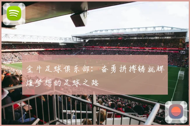 金牛足球俱乐部：奋勇拼搏铸就辉煌梦想的足球之路